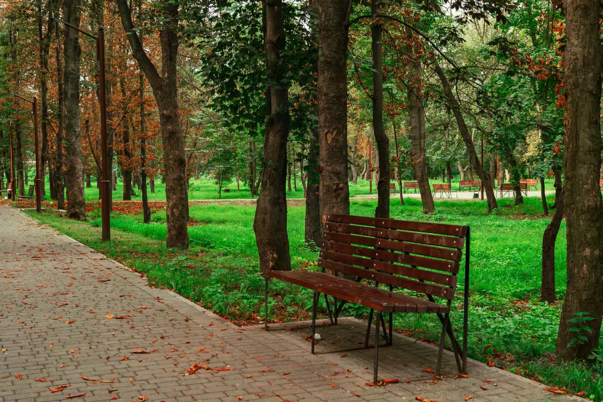 Фотография места «Парк Металлургов», 2
