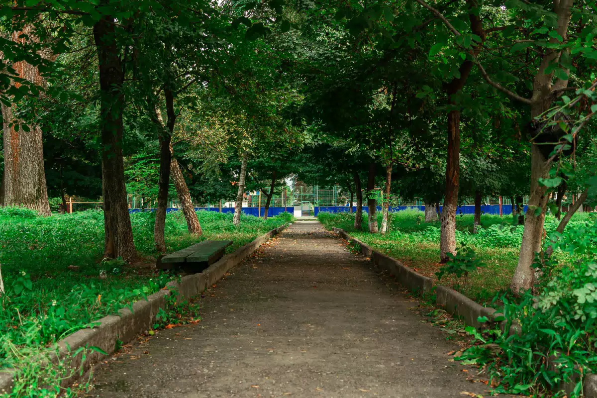 Фотография места «Тургеневский сквер», 2