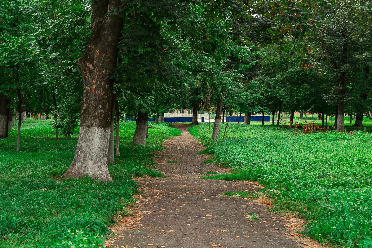 Фотография места «Тургеневский сквер», 3