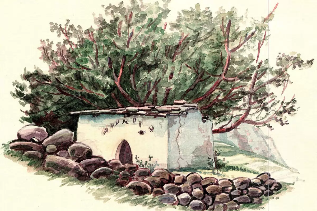 Фотография места «Дзуар Саниба, с. Архон», 3