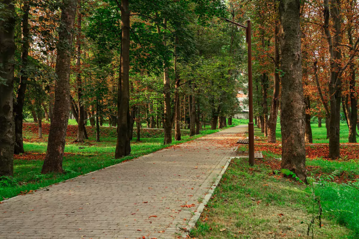 Фотография места «Парк Металлургов», 4