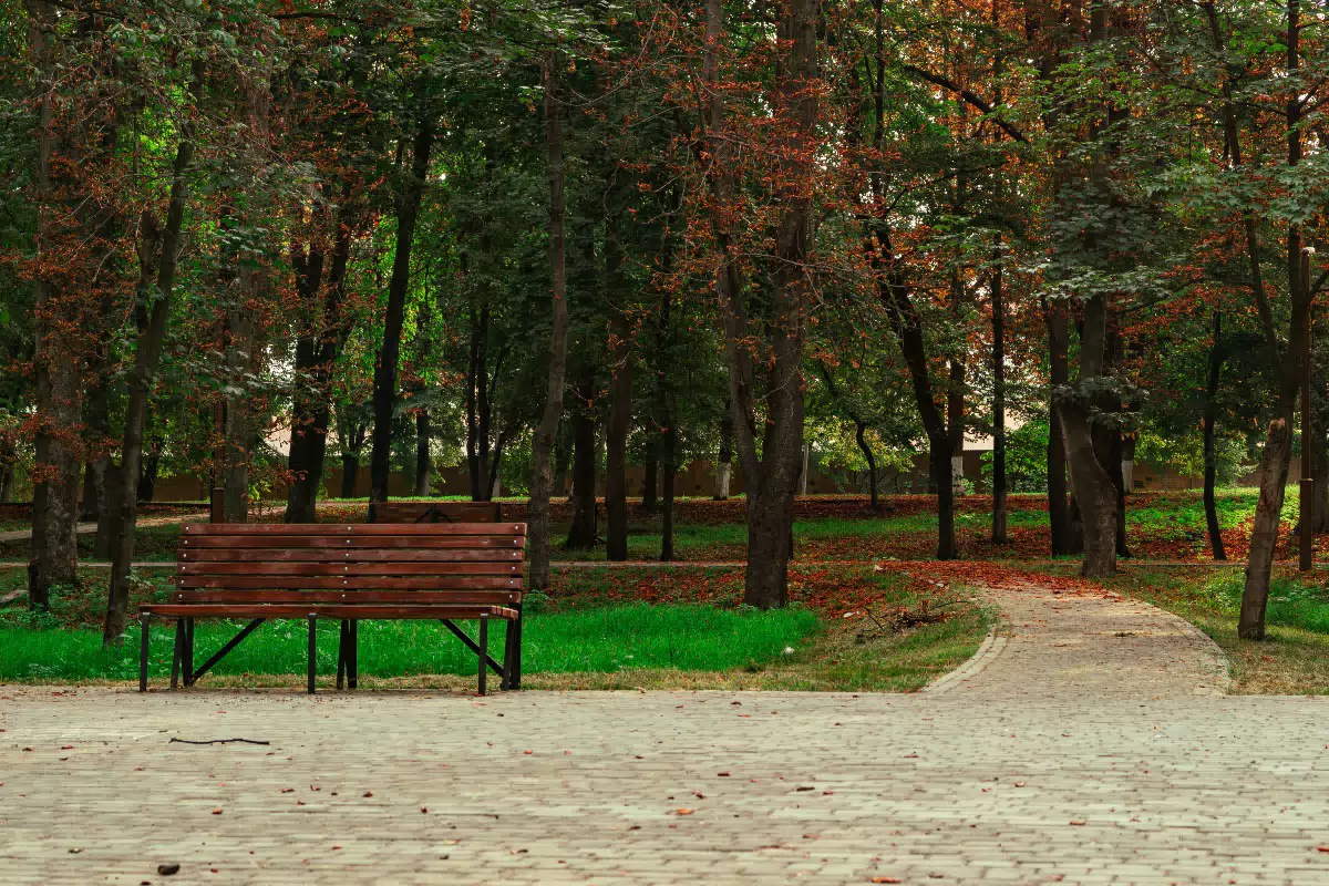 Фотография места «Парк Металлургов», 1