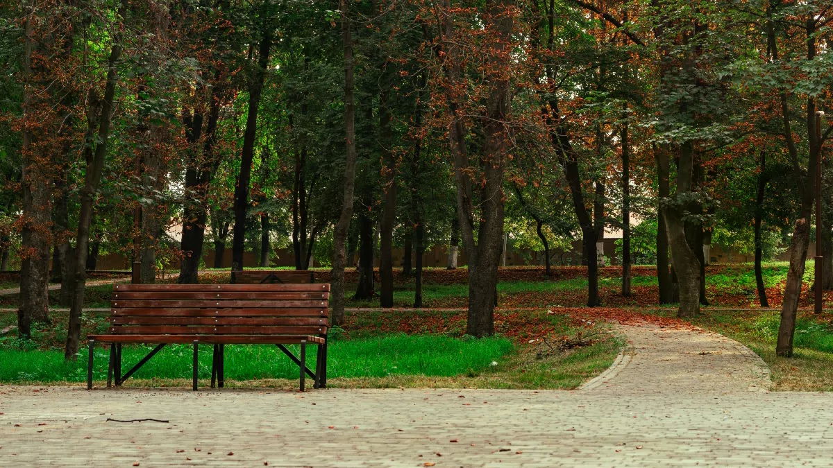 Фотография места «Парк Металлургов», 1