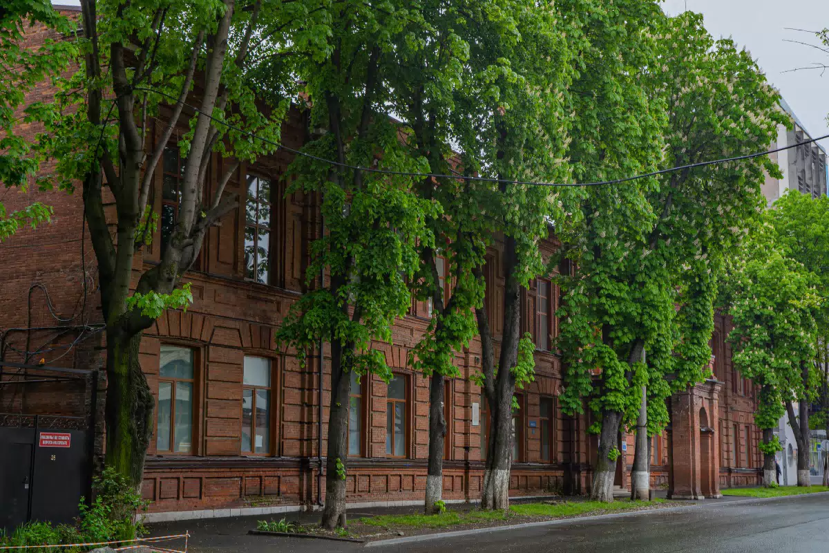 Фотография места «Ольгинская женская гимназия», 2